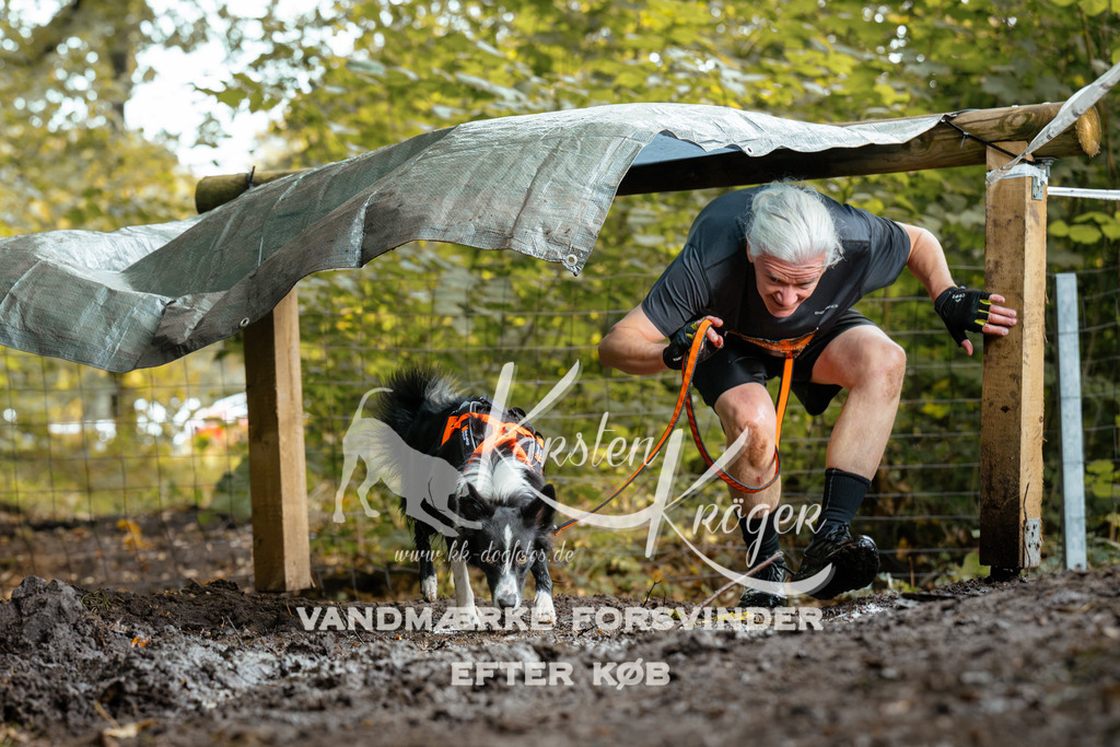 1426DZ6_2018Z6 | kk-dogfotos