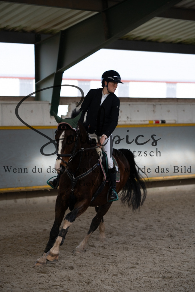 A7V04308 | Pferdefotograf