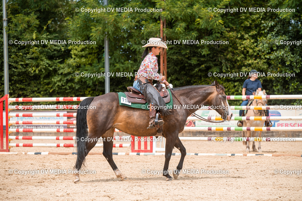 EWP_6294 | dv-media-shop - Realisiert mit Pictrs.com