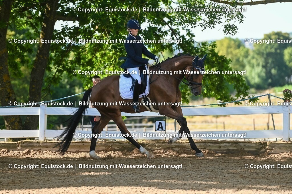 20230715_06_Dressurpferdeprfg. Kl.A_0206 | equistock