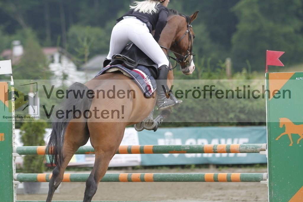 _MG_2452 | equestrian-live-com