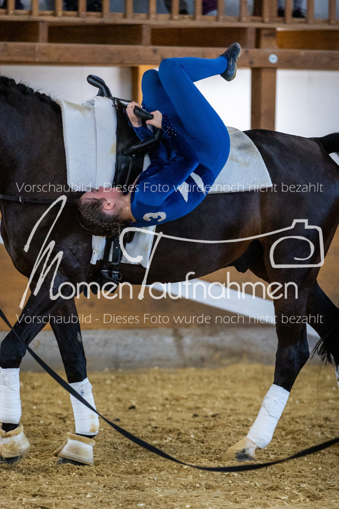 Einzel-004 | MomenTaufnahmen Pferdesportfotos