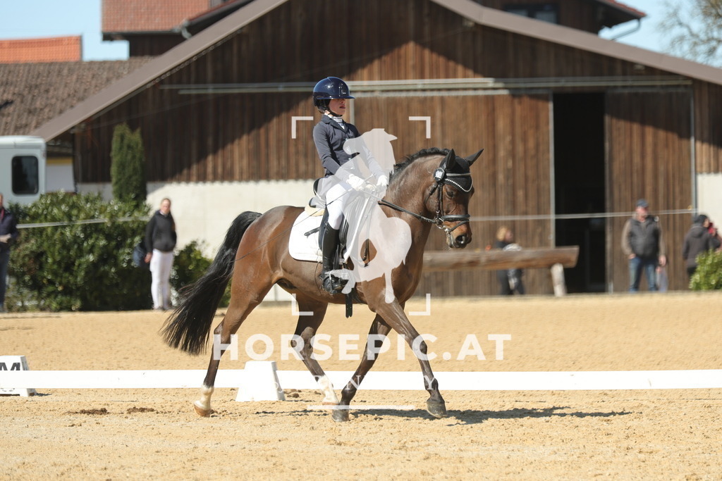0P6A7381 | Willkommen bei Brunnmayr - Design & Fotografie – Ihrem Spezialisten für Reitturniere und Pferdeveranstaltungen in Oberösterreich, Salzburg und Bayern! Seit über 17 Jahren sind wir leidenschaftlich dabei.
