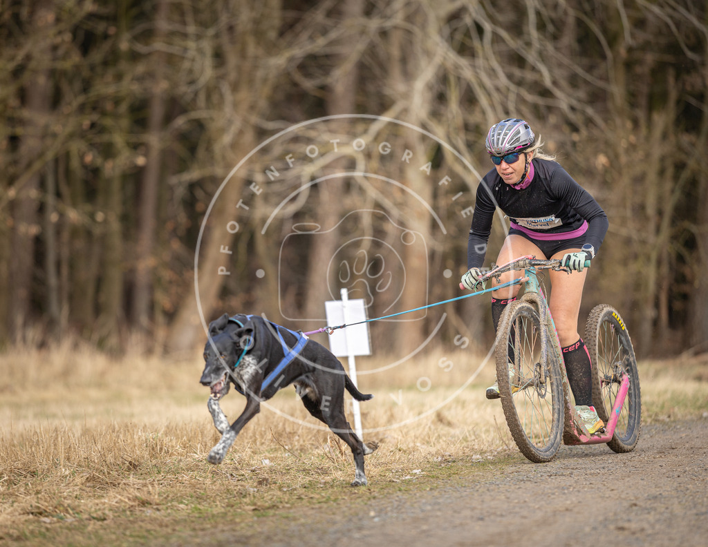 DV3A4666 | Hundefotografie, Tierfotograf, Pfotenfotografie, Fotoshooting Hund, Hunde Portrait, Hundesport, Hundeportraits, Heideshooting, Hunde, Sportfotograf, Hundefotograf, Turnierhundsport, THS,  - Realisiert mit Pictrs.com