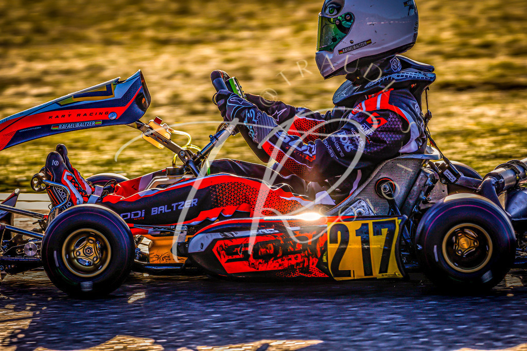 DA68C6B8-1771-427C-BDD5-A553D00E6CCF | traudl_s_fotos