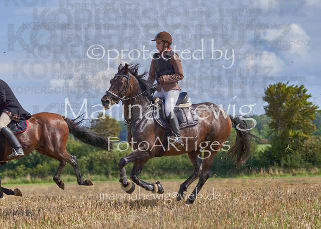 08-23 Bredeneek Jagd_MCH9084_Marina Hewig | Fotografie, FotoArt, PferdesportArt, Pferdesportfotografie, Landschaftsfotografie, Reisefotografie, Reise, Pferde - Realisiert mit Pictrs.com