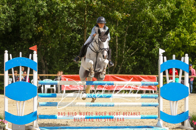 Monschau25_PktM_0022 | Turniersportfotografie; Pferdefotografie; Dressurfotografie