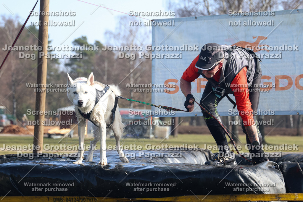 Dog Paparazzi - Strongdog North Mrz26-1233 | Dog Paparazzi Jeanette Grottendiek Fotografie & Videografie - Realisiert mit Pictrs.com