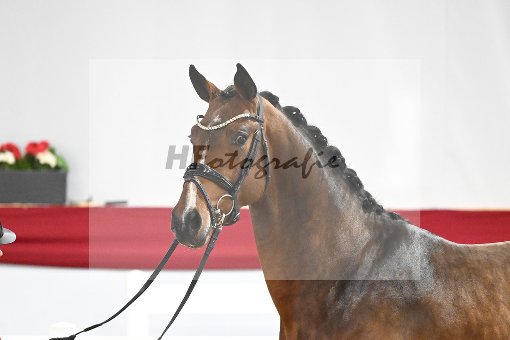 Kat-Nr. 37 v. Carrera VDL_Schep_63220960 | hf-fotografie - Realizzato con Pictrs.com