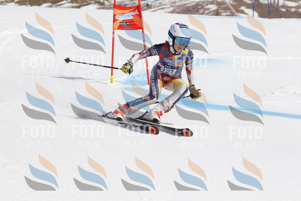 _U3G0719 | holidayphoto