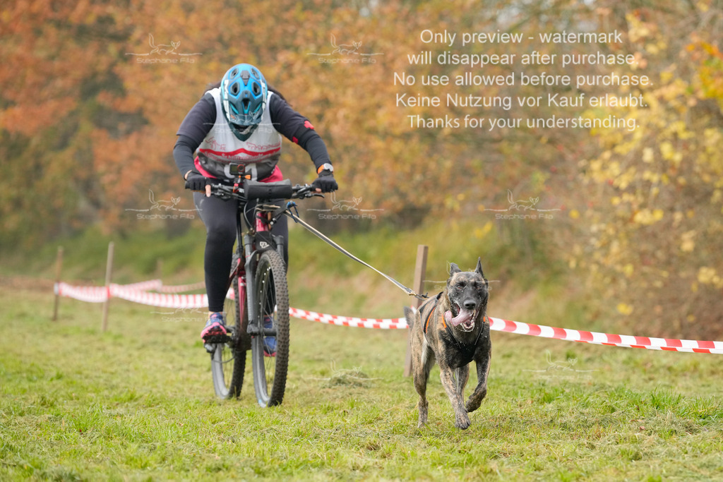 Visbeck_Sa_Bike-315 | stephaniefillaphotographie - Realisiert mit Pictrs.com