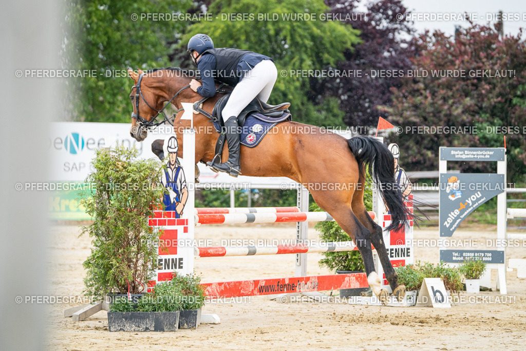 DSC09696 | Pferdegrafie