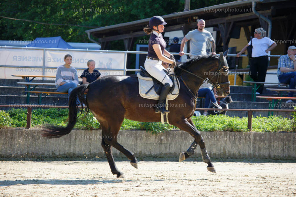 JHE_3856 | JoYa Fotografie - Realisiert mit Pictrs.com