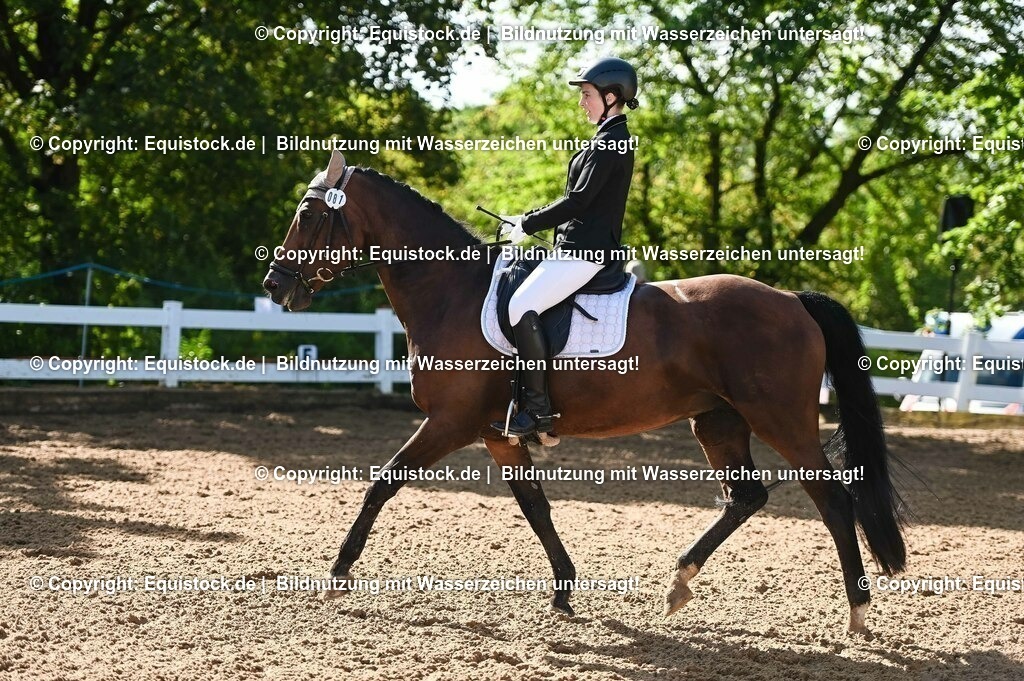 20230716_04_Dressurreiterprüfung Kl.A_0126 | equistock