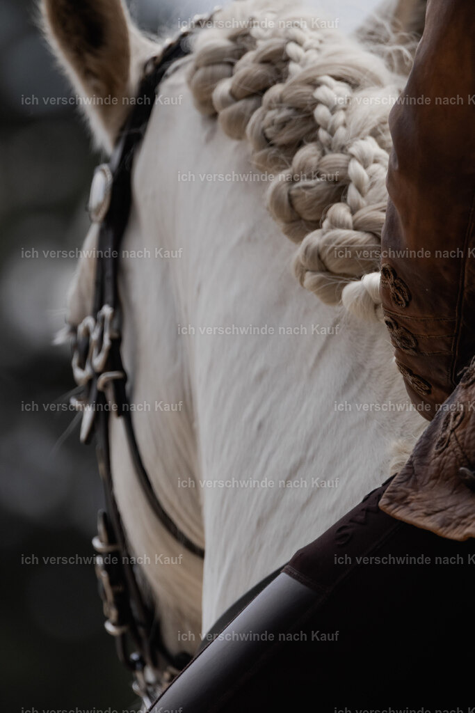 WE_ST_Stoib_347_PI2025_1042 | Pferd International München 2025