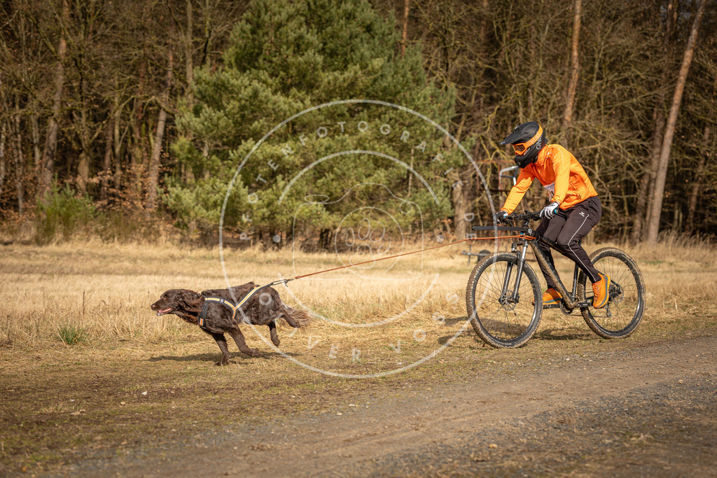 DV3A4468 | Hundefotografie, Tierfotograf, Pfotenfotografie, Fotoshooting Hund, Hunde Portrait, Hundesport, Hundeportraits, Heideshooting, Hunde, Sportfotograf, Hundefotograf, Turnierhundsport, THS,  - Realisiert mit Pictrs.com