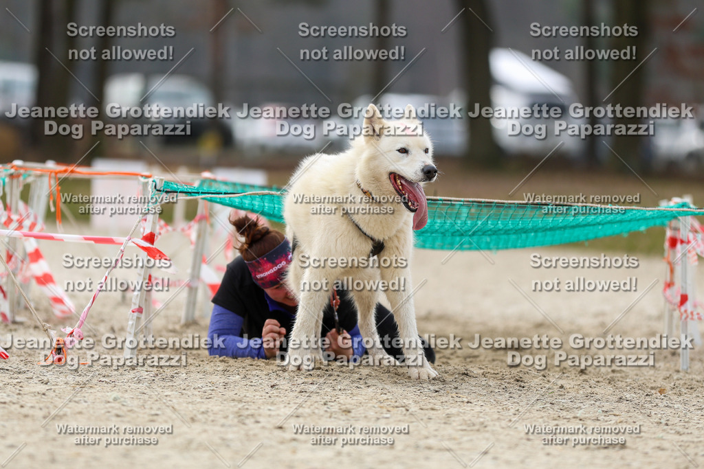 Dog Paparazzi - Strongdog North Mrz26-5743 | Dog Paparazzi Jeanette Grottendiek Fotografie & Videografie - Realisiert mit Pictrs.com
