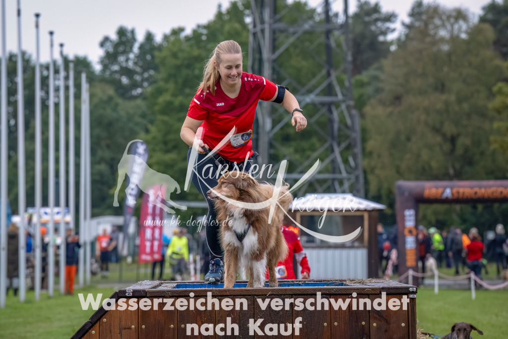 1217--5 | kk-dogfotos