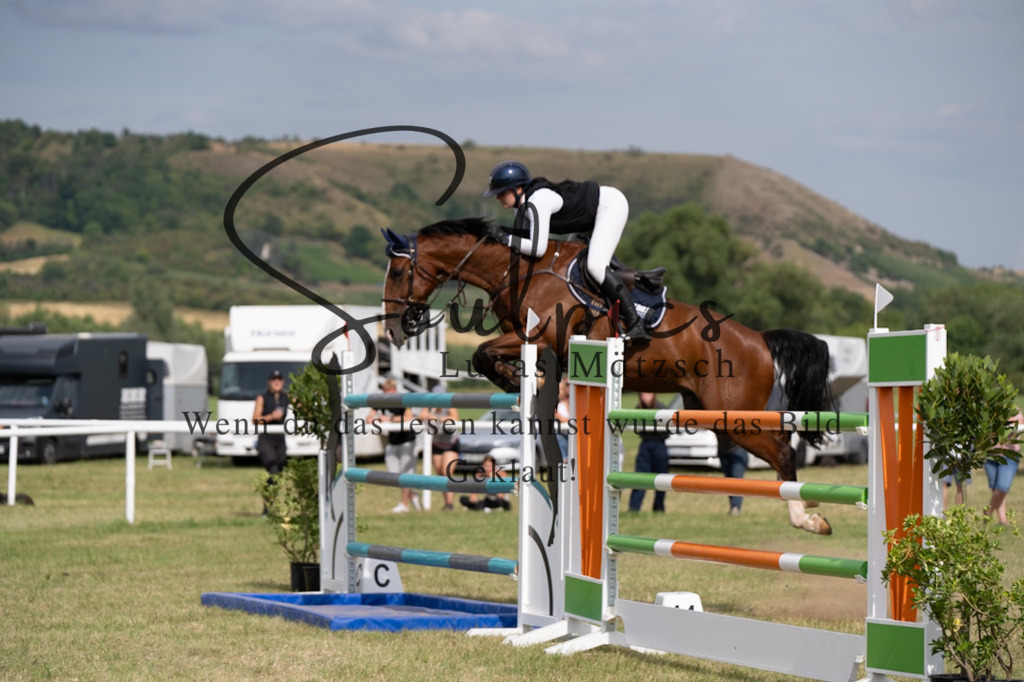 A7V02585 | Pferdefotograf