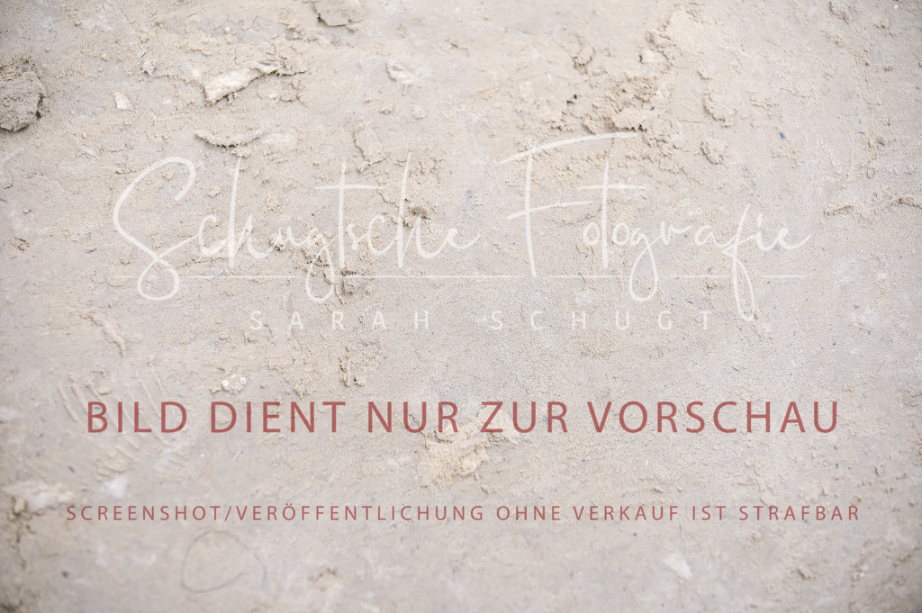 Schugtsche-Aluta25-57.Dressurprf.M1Kand-167 | Schugtsche Fotografie - Realizzato con Pictrs.com