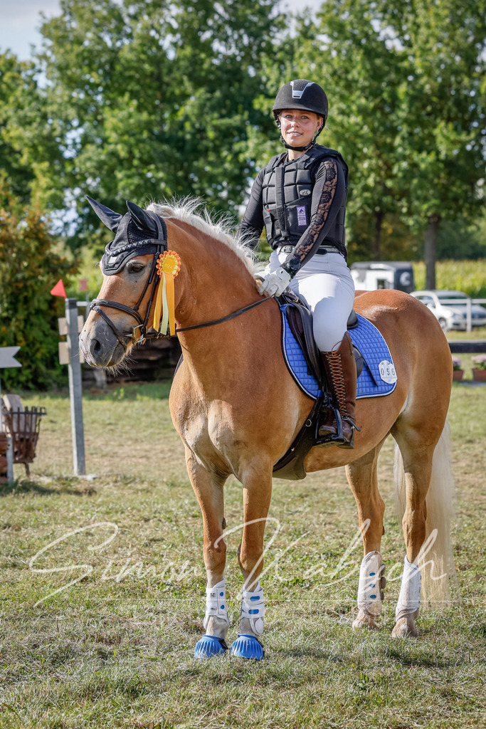 20250905-_3LI1340 | Tierfotografie Pferde, Hunde, Katzen, Haustiere.
Turnierfotografie Reitturniere, Reiten, Springreiten, Dressur in Hanau, dem Main-Kinzig-Kreis und dem Rhein-Main- Gebiet um Frankfurt