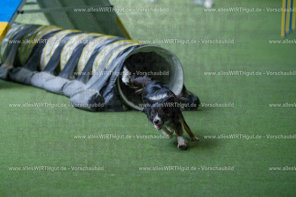@allesWIRTHgut_Tierfotografie - www.allesWIRTHgut.de - 2604251232-7R502067 | Professionelle Tierfotografie in Mönchengladbach von Daniel Wirth (allesWIRTHgut). Liebevolle & natürliche Bilder von Hunden & Katzen für unvergessliche Erinnerungen.