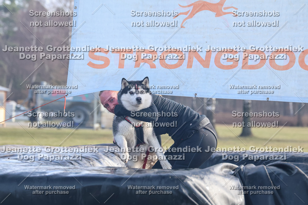Dog Paparazzi - Strongdog North Mrz26-601 | Dog Paparazzi Jeanette Grottendiek Fotografie & Videografie - Realisiert mit Pictrs.com