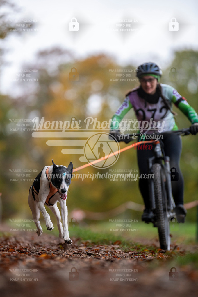 DBT_DAKM_SA_4_11_2023_Bike-64 | PayLife