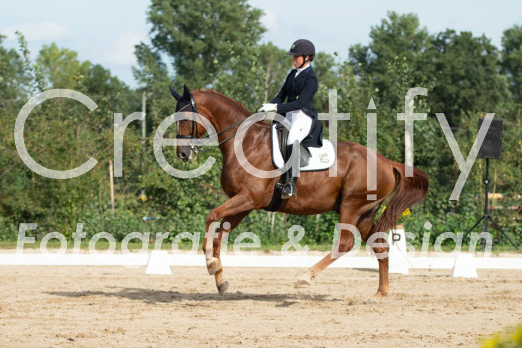 IMG_4179 | Creatify Fotografie