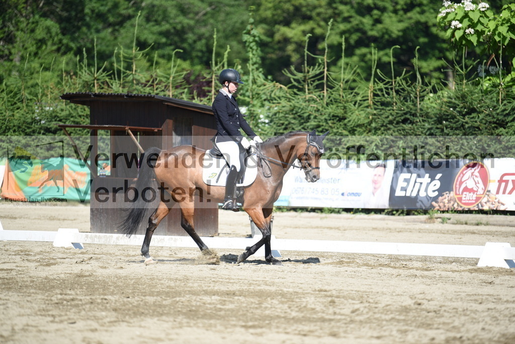 DSC_7658 | equestrian-live-com