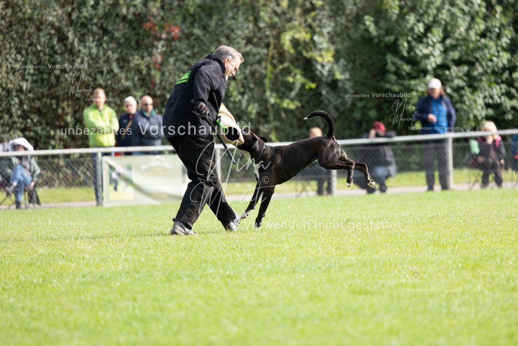 _16A5448 | Einzigartige Fotos von Hunden & Menschen –Actionfotos, Portraits, Vereinsaufnahmen & Paarshootings – authentisch, lebendig & mit Herz.