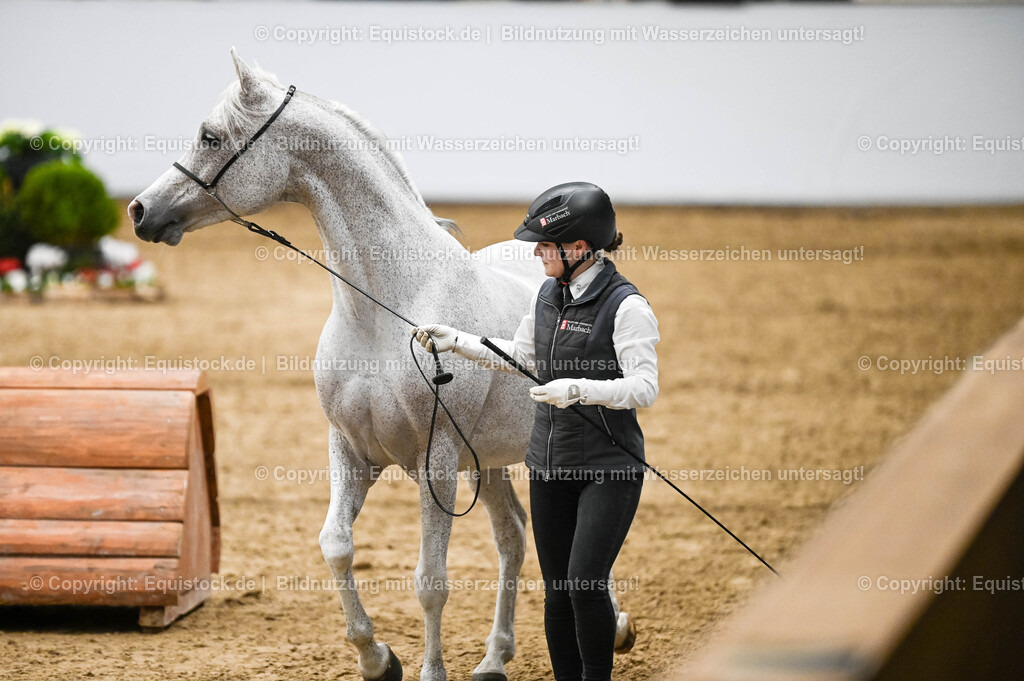 20260307_Hengstvorstellung-Marbach_0436 | equistock