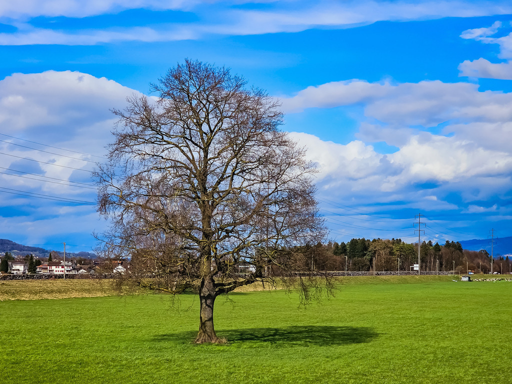 PSX_20230326_001925 | mtkfoto_ - Realisiert mit Pictrs.com