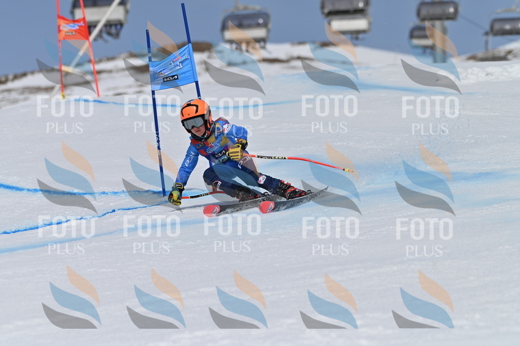 BGV_3346 | holidayphoto