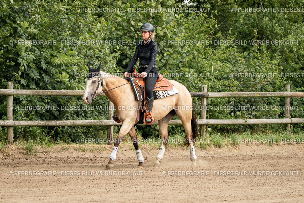 DSC04704 | Pferdegrafie