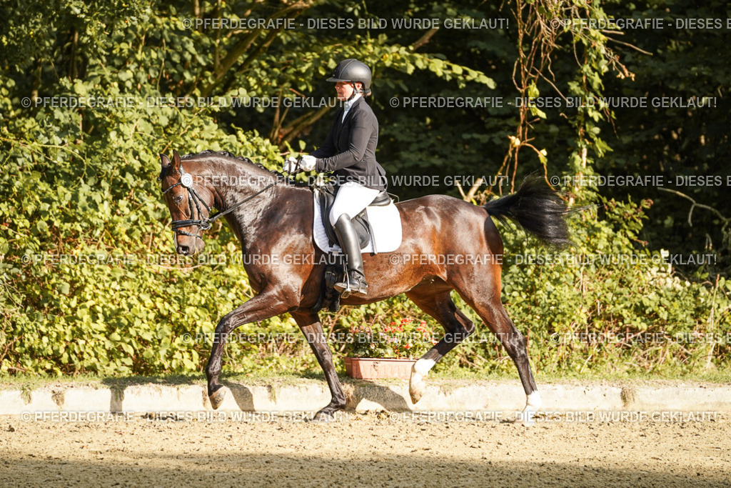 DSC05436 | Pferdegrafie