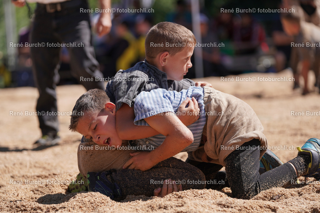 DSC08401 | René Burch leidenschaftlicher Fotograf aus Kerns in Obwalden.  Hier finden sie Sport, Landschaft und Natur Fotografie.
 - Realisiert mit Pictrs.com