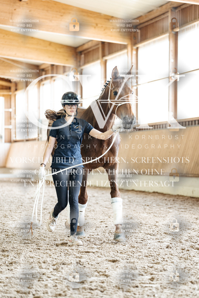 CK908264 | Turnierfotografie Pferdefotografie Trier Rheinland-Pfalz Pferdesport Reitsport Tierfotografie Sportfotografie Pferdevideo Pferdevideografie Equestrianvideography equestrianphotography  - Realisiert mit Pictrs.com