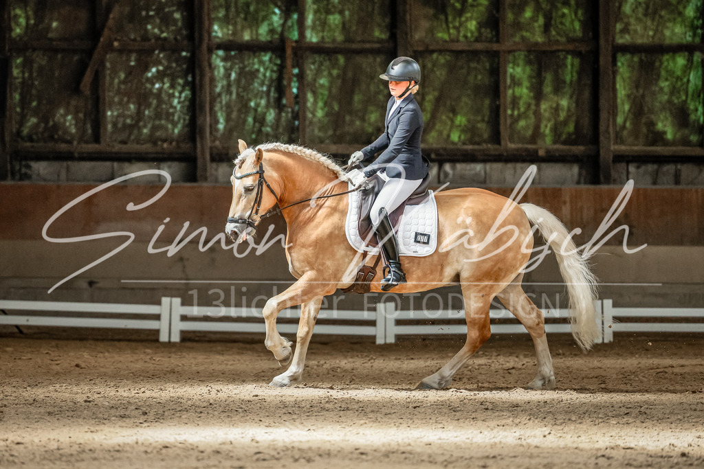 20250621-_3LI6652 | Tierfotografie Pferde, Hunde, Katzen, Haustiere.
Turnierfotografie Reitturniere, Reiten, Springreiten, Dressur in Hanau, dem Main-Kinzig-Kreis und dem Rhein-Main- Gebiet um Frankfurt
