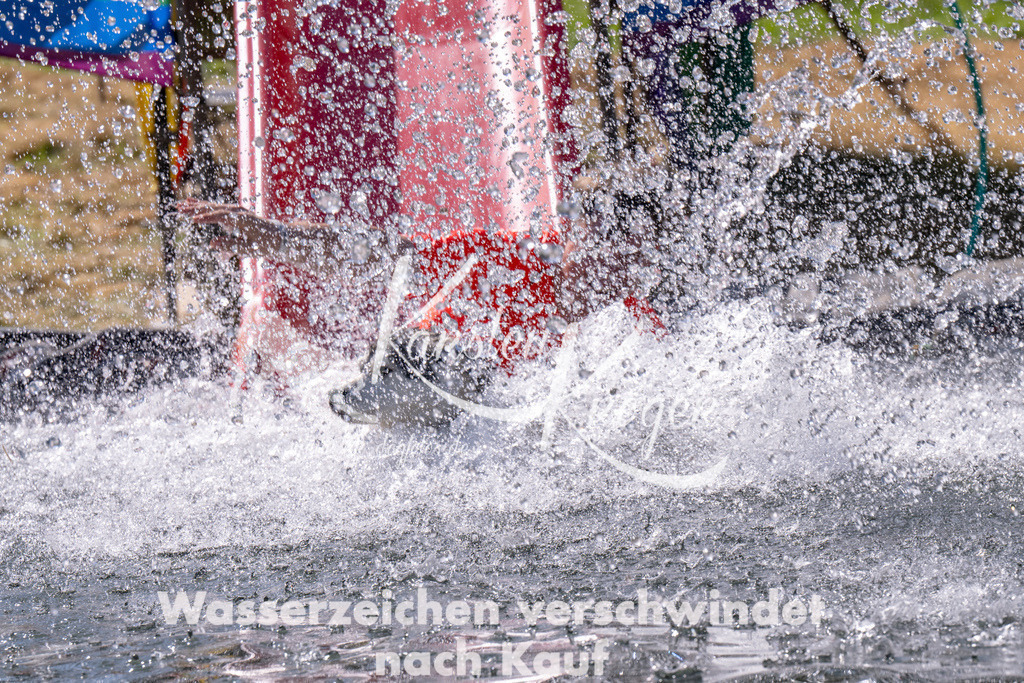 1151_ZZ90662 | kk-dogfotos