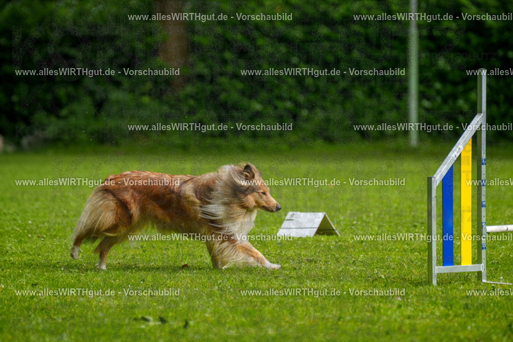 @allesWIRTHgut_Tierfotografie - www.allesWIRTHgut.de - 7R503047 | Professionelle Tierfotografie in Mönchengladbach von Daniel Wirth (allesWIRTHgut). Liebevolle & natürliche Bilder von Hunden & Katzen für unvergessliche Erinnerungen.
