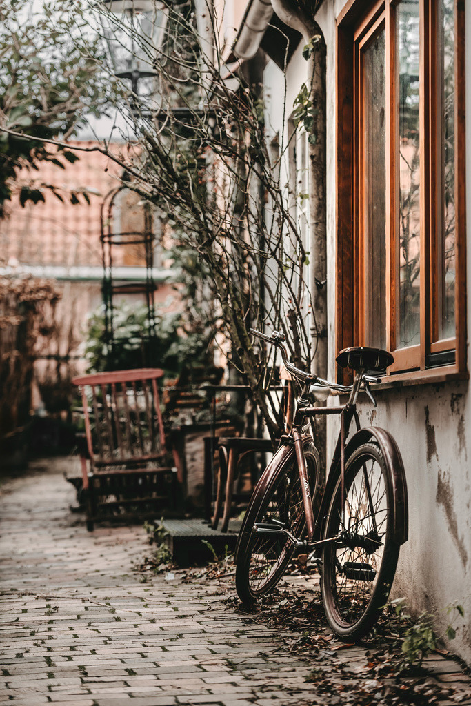 The layhead_04 | Du suchst natürliche und atmosphärische Prints oder Leinwanddrucke? In diesem Shop gibt es alles, nur kein Mainstream. - Realisiert mit Pictrs.com