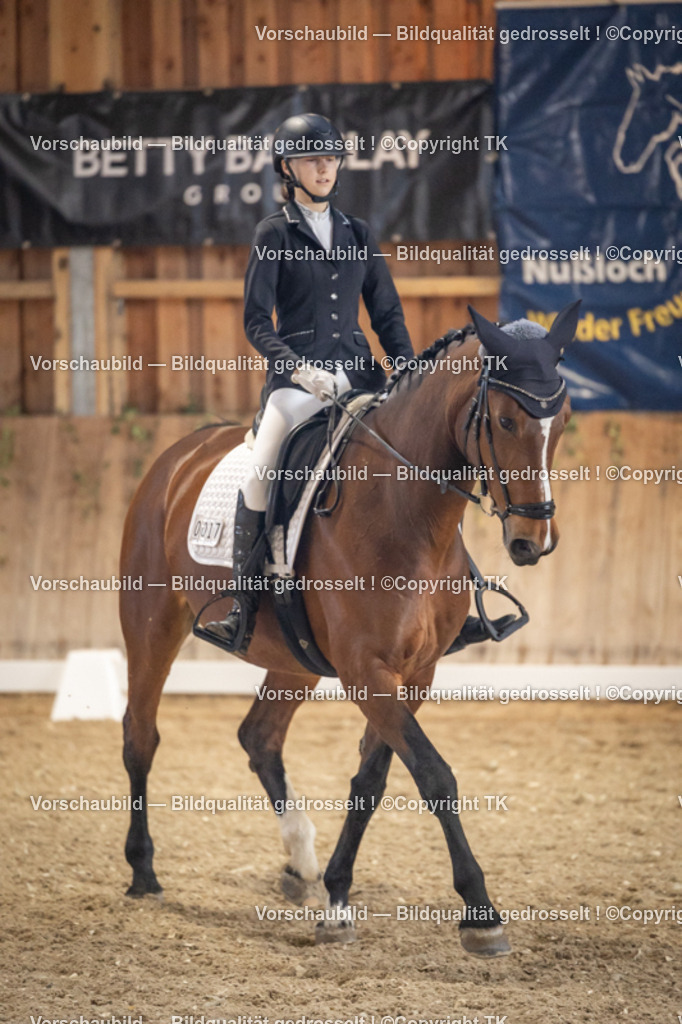 _D5A1353 | Emotionale Pferde- & People-Fotografie rund um Heidelberg, Leimen & Umgebung. Natürliche Fotos von Pferd, Mensch & Familie. Jetzt Termin sichern!