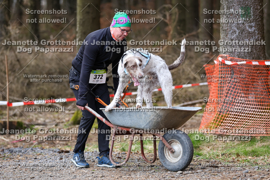 Dog Paparazzi - VCC26-667 | Dog Paparazzi Jeanette Grottendiek Fotografie & Videografie - Realisiert mit Pictrs.com