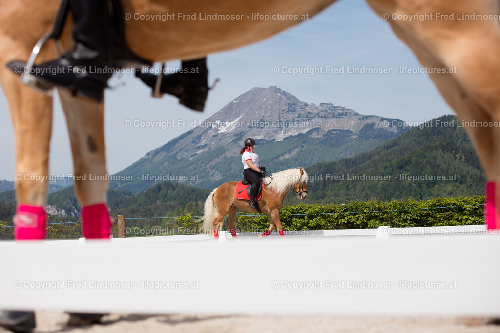 Otscher  (61) | Fotos und Fotoprodukte - Realisiert mit Pictrs.com