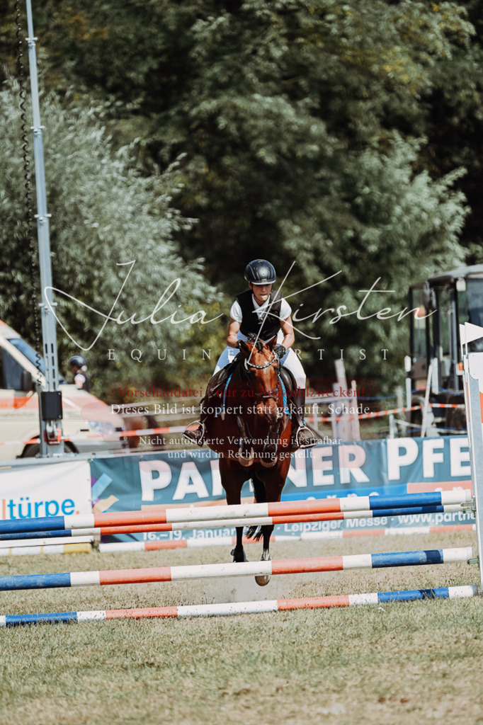 DSC_9964 | Pferde- und Turnierfotografie in Westsachsen. Pferdeportraits, Auftragszeichnungen und intuitive Kunst.