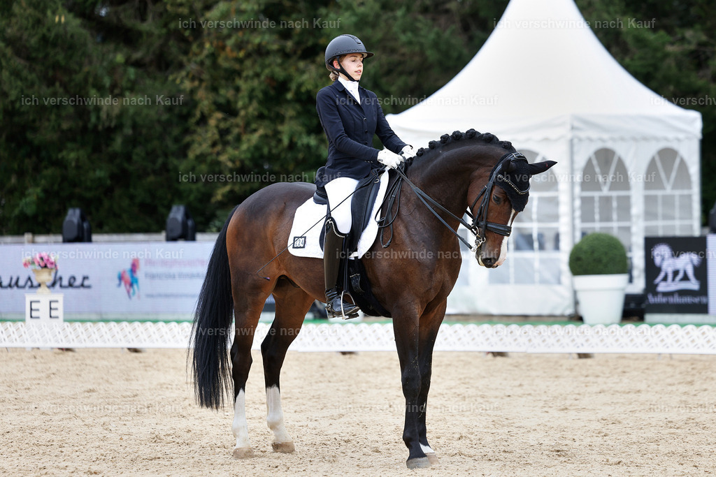 3-224-Dressur M_-StoibPH-2541 | working equitationturnier fotograf videograf stoibphotography marixx film working equitation deutschland reitsport turnierfotografie eventfotografie equestrian events