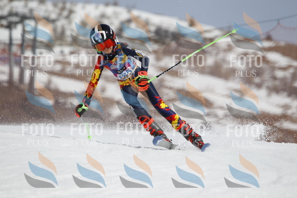 _U3G1432 | holidayphoto