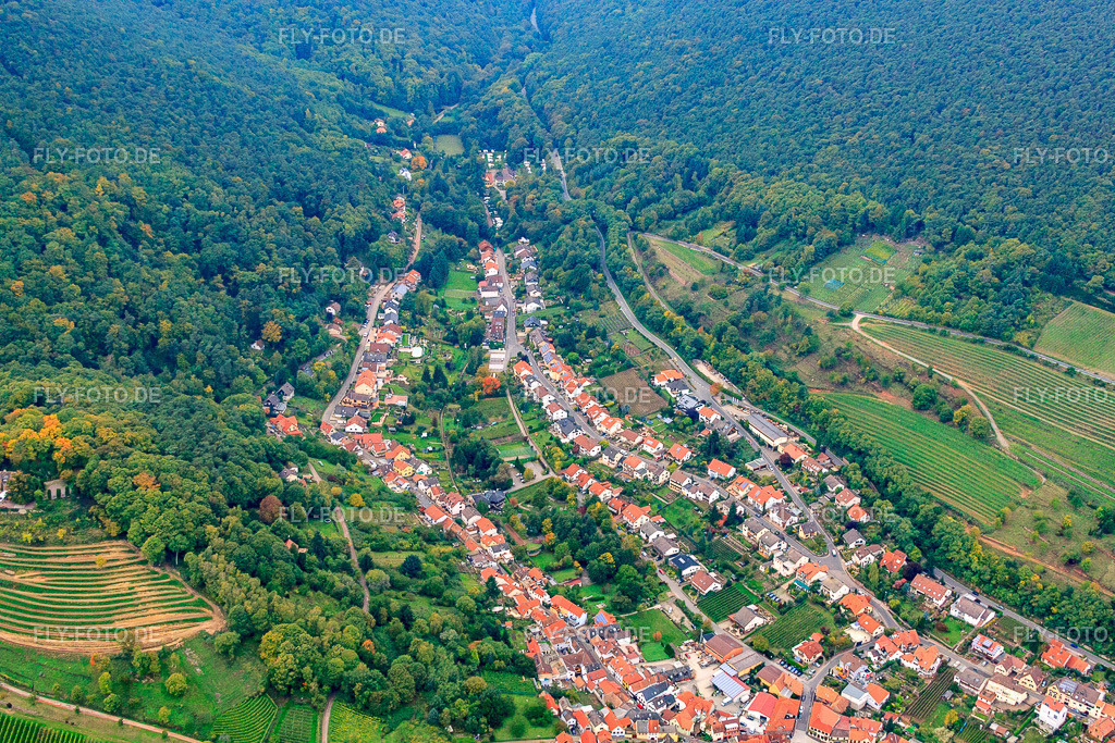 Talstr | Luftbild: Talstr im Ortsteil SaintMartin in Sankt Martin im Bundesland Rheinland-Pfalz in Deutschland. Foto: IMG_60071.jpg vom 08.10.2013 durch Werner Riehm/FLY-FOTO.de - Realisiert mit Pictrs.com