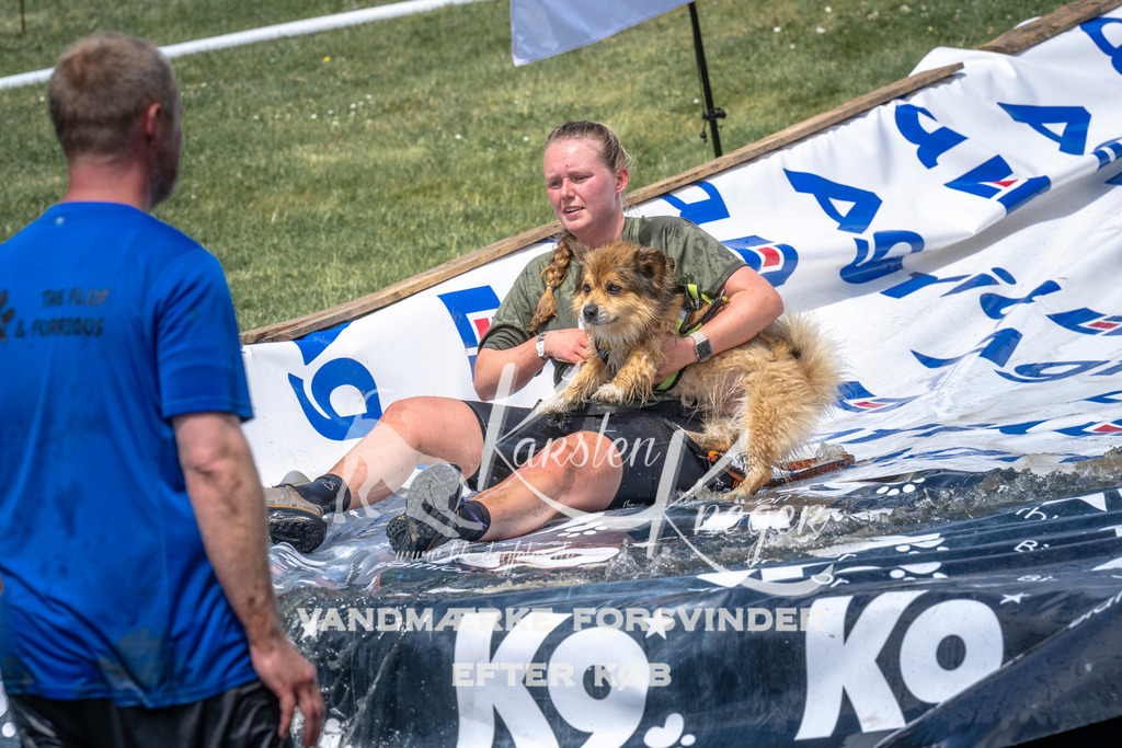 1103_ZZ90547 | kk-dogfotos